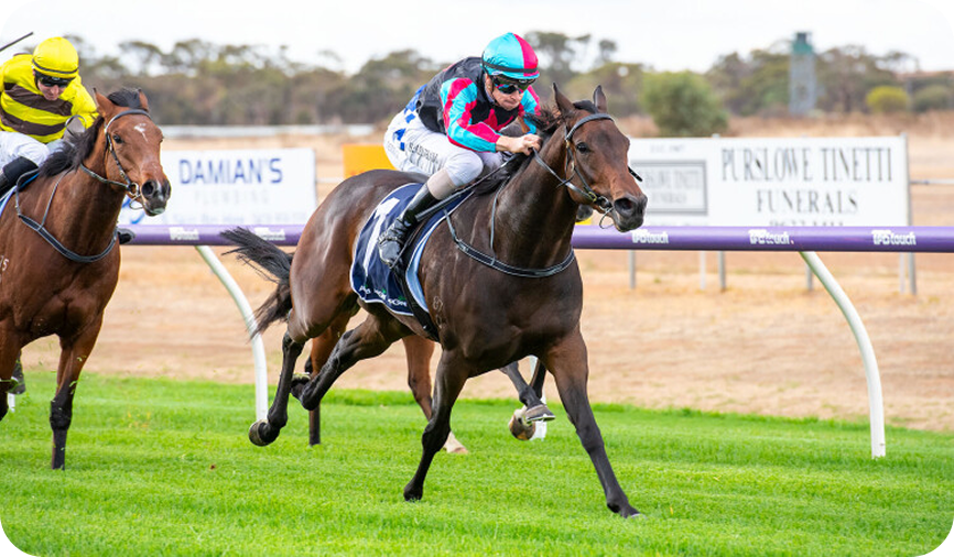 Horse racing photo 14
